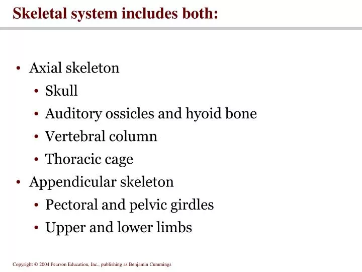 skeletal system includes both