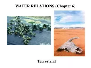 WATER RELATIONS (Chapter 6)