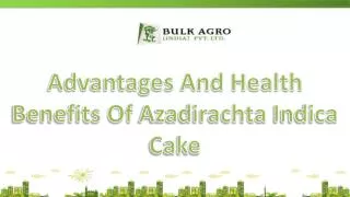 Azadirachta Indica Cake A Natural Fertilizer