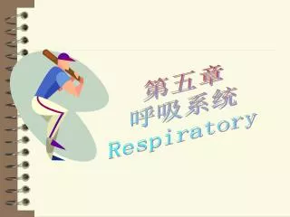 第五章 呼吸系统 Respiratory