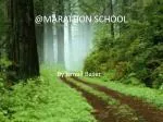 @MARATHON SCHOOL - slide 1