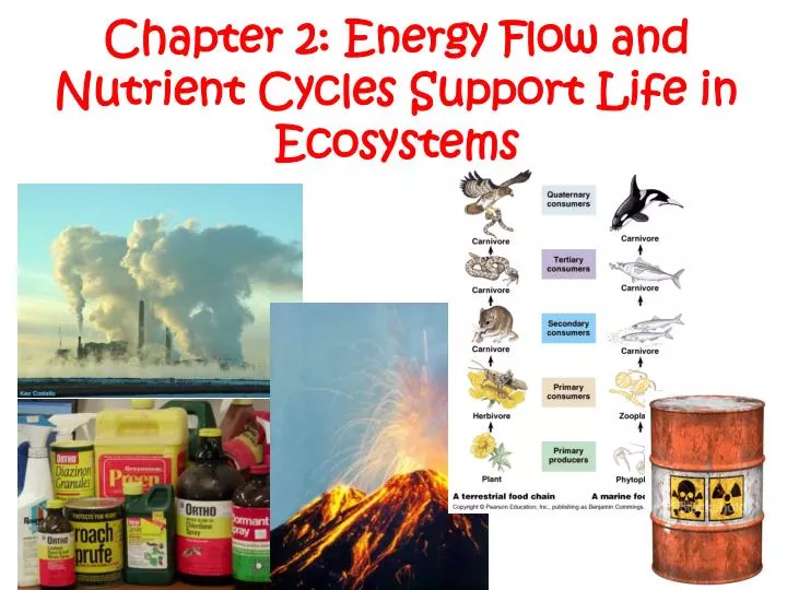 chapter 2 energy flow and nutrient cycles support life in ecosystems
