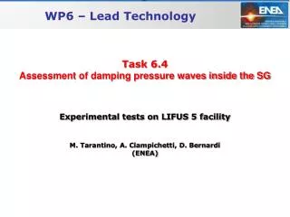 Task 6.4 Assessment of damping pressure waves inside the SG