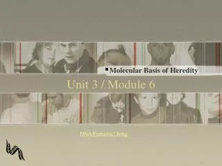 Unit 3 / Module 6