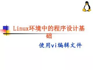 Linux 环境中的程序设计基础