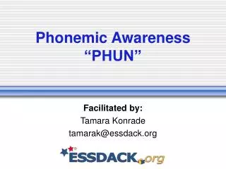 Phonemic Awareness “PHUN”