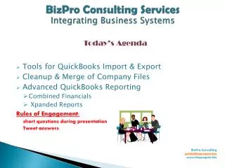 BizPro Consulting Services Integrating Business Systems