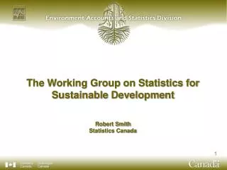 The Working Group on Statistics for Sustainable Development Robert Smith Statistics Canada
