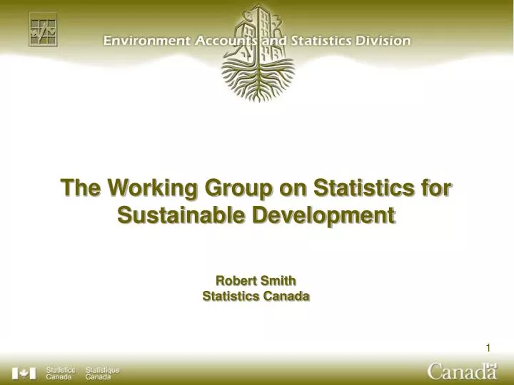 the working group on statistics for sustainable development robert smith statistics canada