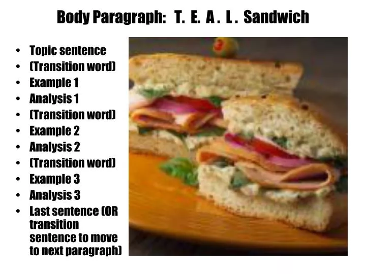 body paragraph t e a l sandwich