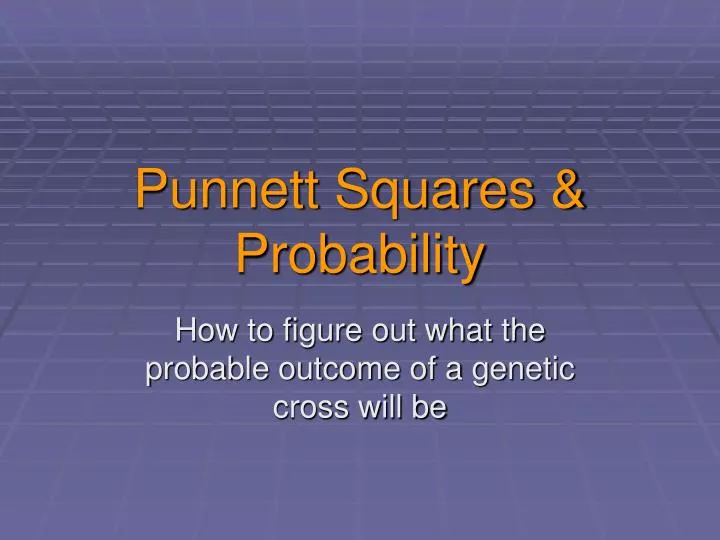 punnett squares probability