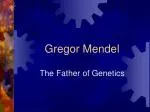 Gregor Mendel - slide 1