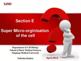 Section E Super Micro-orginisation of the cell