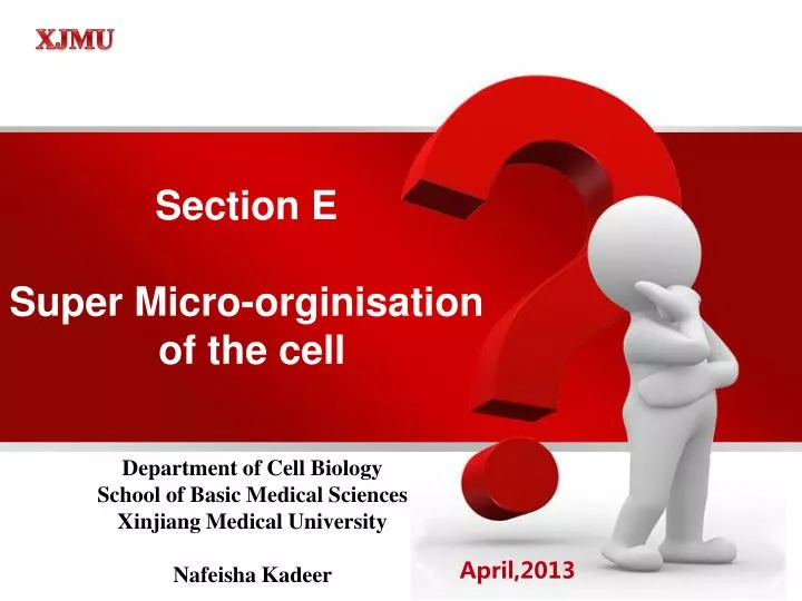 section e super micro orginisation of the cell