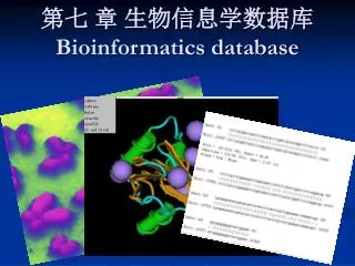 第七 章 生物信息学数据库 Bioinformatics database