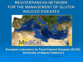 MEDITERRANEAN NETWORK FOR THE MANAGEMENT OF GLUTEN INDUCED DISEASES