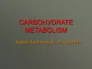 CARBOHYDRATE METABOLISM