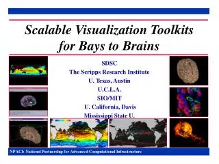 Scalable Visualization Toolkits for Bays to Brains