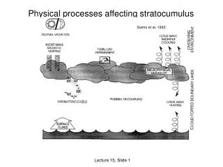 Physical processes affecting stratocumulus