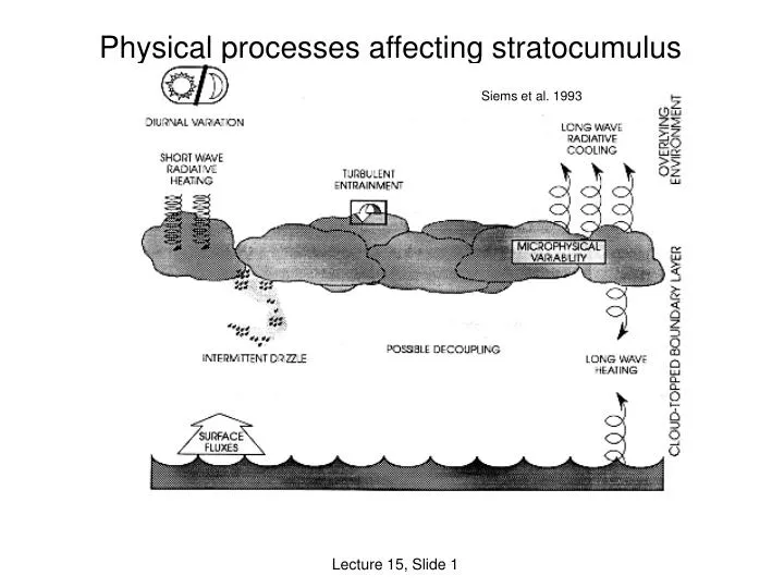 physical processes affecting stratocumulus