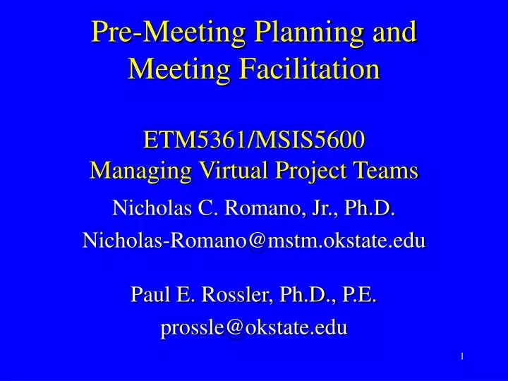 pre meeting planning and meeting facilitation etm5361 msis5600 managing virtual project teams