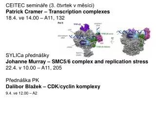 CEITEC semináře (3. čtvrtek v měsíci) Patrick Cramer – Transcription complexes