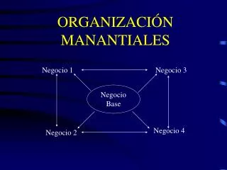 ORGANIZACIÓN MANANTIALES