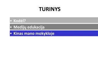 TURINYS