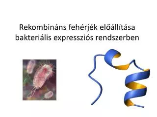 Rekombináns fehérjék előállítása bakteriális expressziós rendszerben