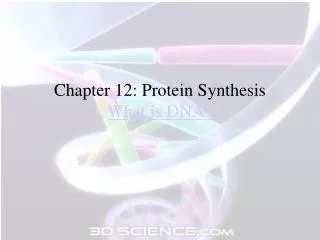 Chapter 12: Protein Synthesis What is DNA?