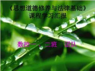 《 思想道德修养与法律基础 》 课程学习汇报