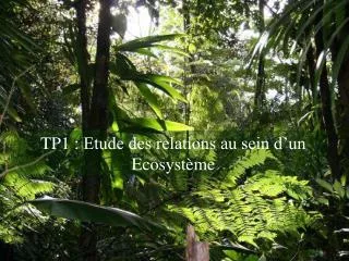 TP1 : Etude des relations au sein d’un Ecosystème