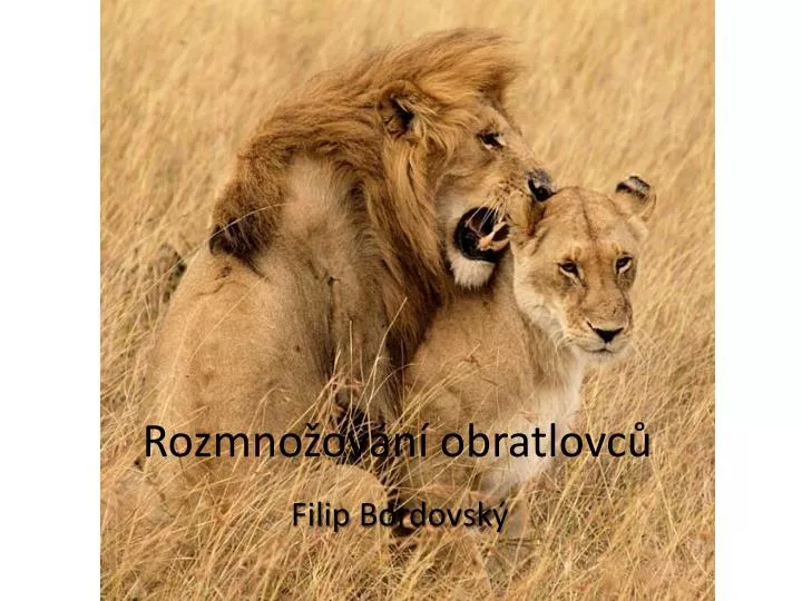 rozmno ov n obratlovc