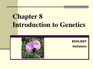 Chapter 8 Introduction to Genetics