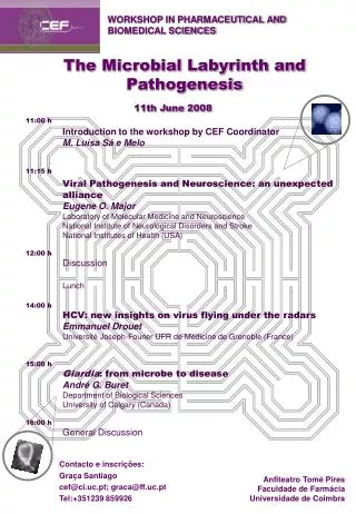 The Microbial Labyrinth and Pathogenesis