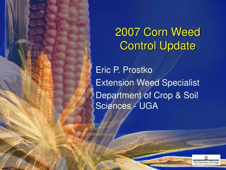 2007 corn weed control update