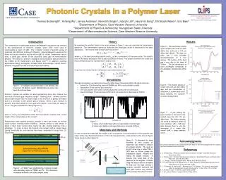 Photonic Crystals in a Polymer Laser