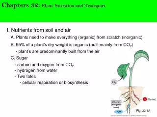 I. Nutrients from soil and air