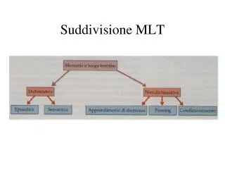 Suddivisione MLT