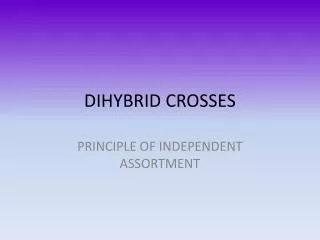 DIHYBRID CROSSES