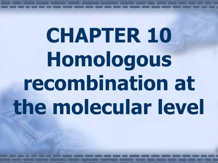 chapter 10 homologous recombination at the molecular level