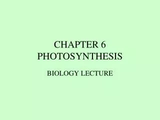 CHAPTER 6 PHOTOSYNTHESIS