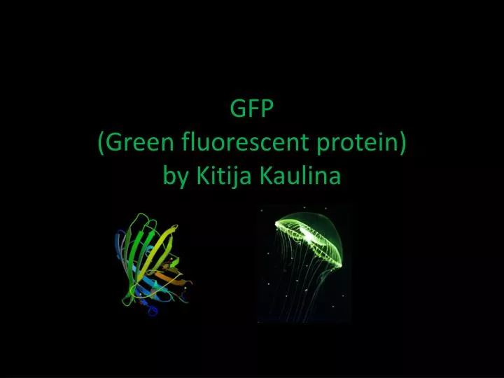 gfp green fluorescent protein by kitija kaulina