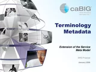 Terminology Metadata