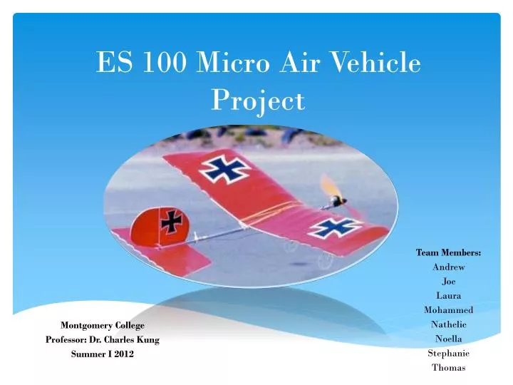 es 100 micro air vehicle project