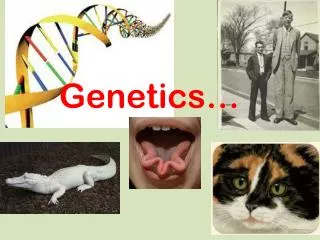 Genetics…