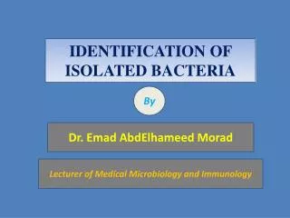 IDENTIFICATION OF ISOLATED BACTERIA