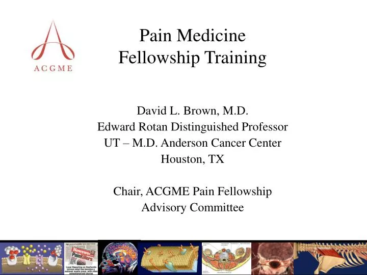 pain medicine fellowship training
