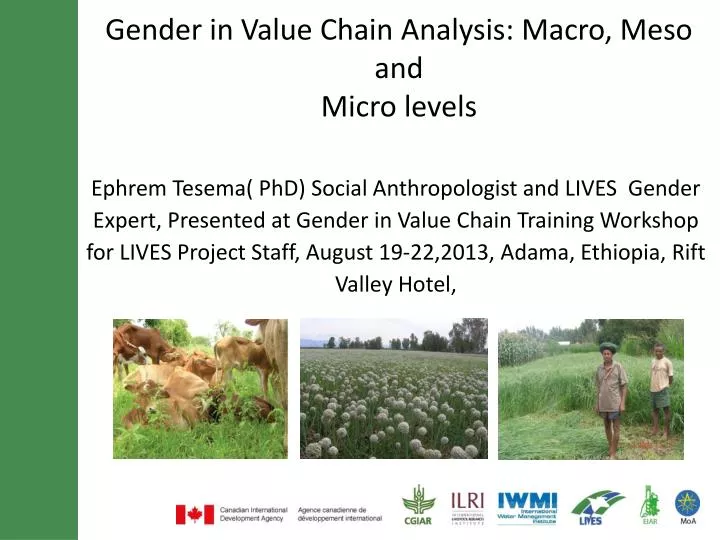 gender in value chain analysis macro meso and micro levels