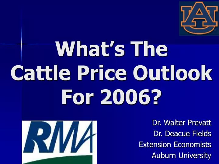 what s the cattle price outlook for 2006